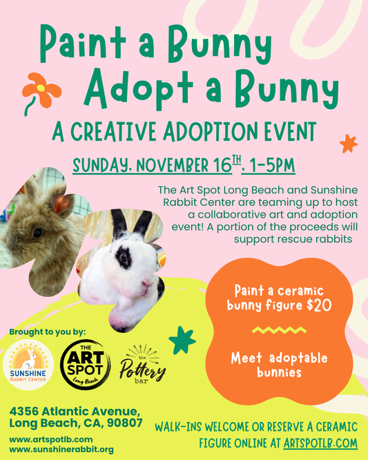(11/16) Pet a Bunny, Adopt a Bunny: Creative Adoption Event